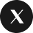X - 10turtle